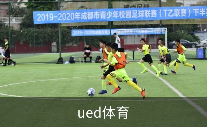 ued体育概况